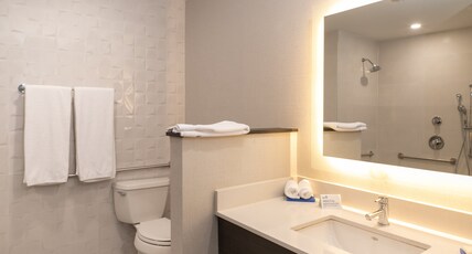 Holiday Inn Express & Suites TIJUANA OTAY Room Type - 1 King Standard Accessible