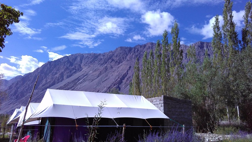 Dowa Camp  - Tap to explore photos