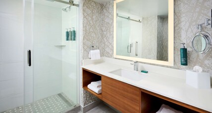 DoubleTree by Hilton Windsor Hotel & Suites Room Type - 1 KING WATER VIEW
