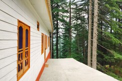 Cloud culture Forest