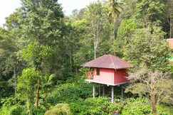 VMJ Wild Stay