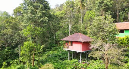 VMJ Wild Stay Room Type - HUT STAY