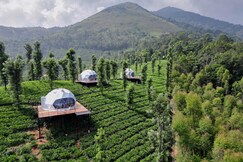 Vythiri Tea Valley | Domes on Tea Plantation