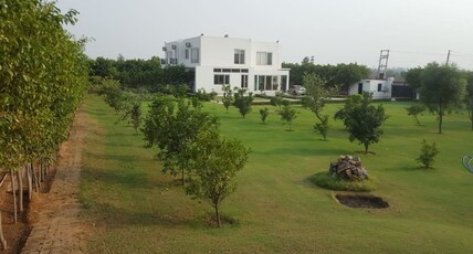 Walias Tellus Farm stay | 3 BR | Pool Room Type - Ekant Farm house