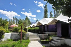 Tiger Camp Nubra | Tents & Wi-Fi