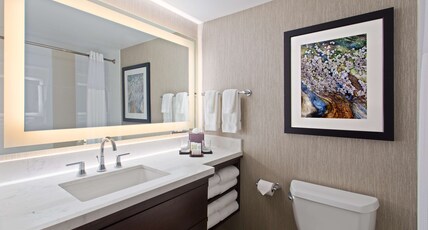 Embassy Suites by Hilton Orlando International Dr Conv Ctr Room Type - 2 QUEENS STE-PURE WELLNESS