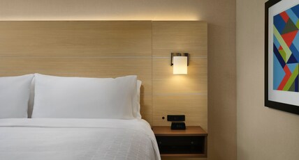 Holiday Inn Express & Suites Lockport, an IHG Hotel Room Type - 1 King Bed Standard Mobil Access Tub