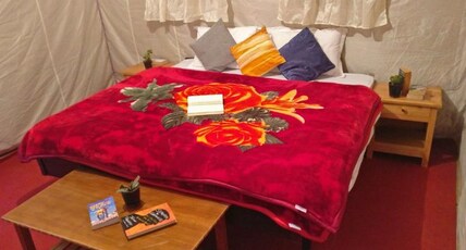 Zostel Chitkul  Room Type - Alpine/Swiss Tents with en-suite washroom