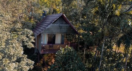 Hillock | Tree House & Villa Room Type - Tree House