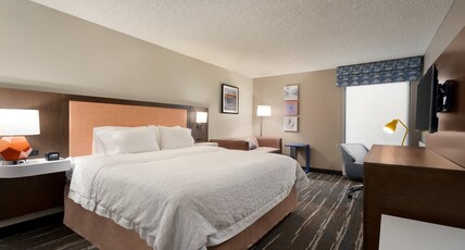 Hampton Inn Phoenix-Chandler Room Type - 1KING STUDY W SOFABED NS