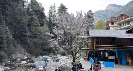 Zenden Stay and Cafe Room Type - Double Room with Mountain View Riverside