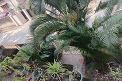 Saurabh Homestay Near AMC Road