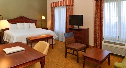 Hampton Inn & Suites by Hilton Albuquerque-Coors Road Room Type - 1KNG STUDIO SOFABED NOSMOK
