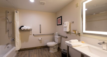 BROOKFIELD-MILWAUKEE HOTEL Room Type - 1 King Bed Standard Mobil Accessible Tub