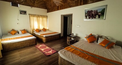 Grasshopper Jungle Queen Room Type - 6 Bed room