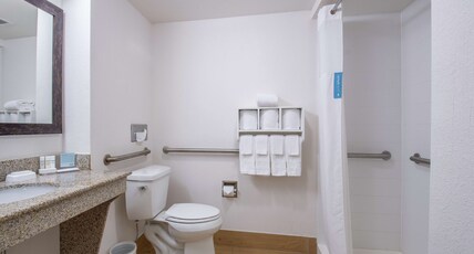 Hampton Inn & Suites Williamsburg-Richmond Road Room Type - 1 KNG ACCESS SHWR ONLY NS