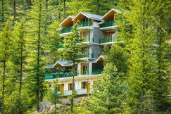 The Trippy Tribe Jibhi