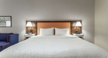 Hampton Inn Capital Mall Room Type - 1 KING BED NONSMOKING