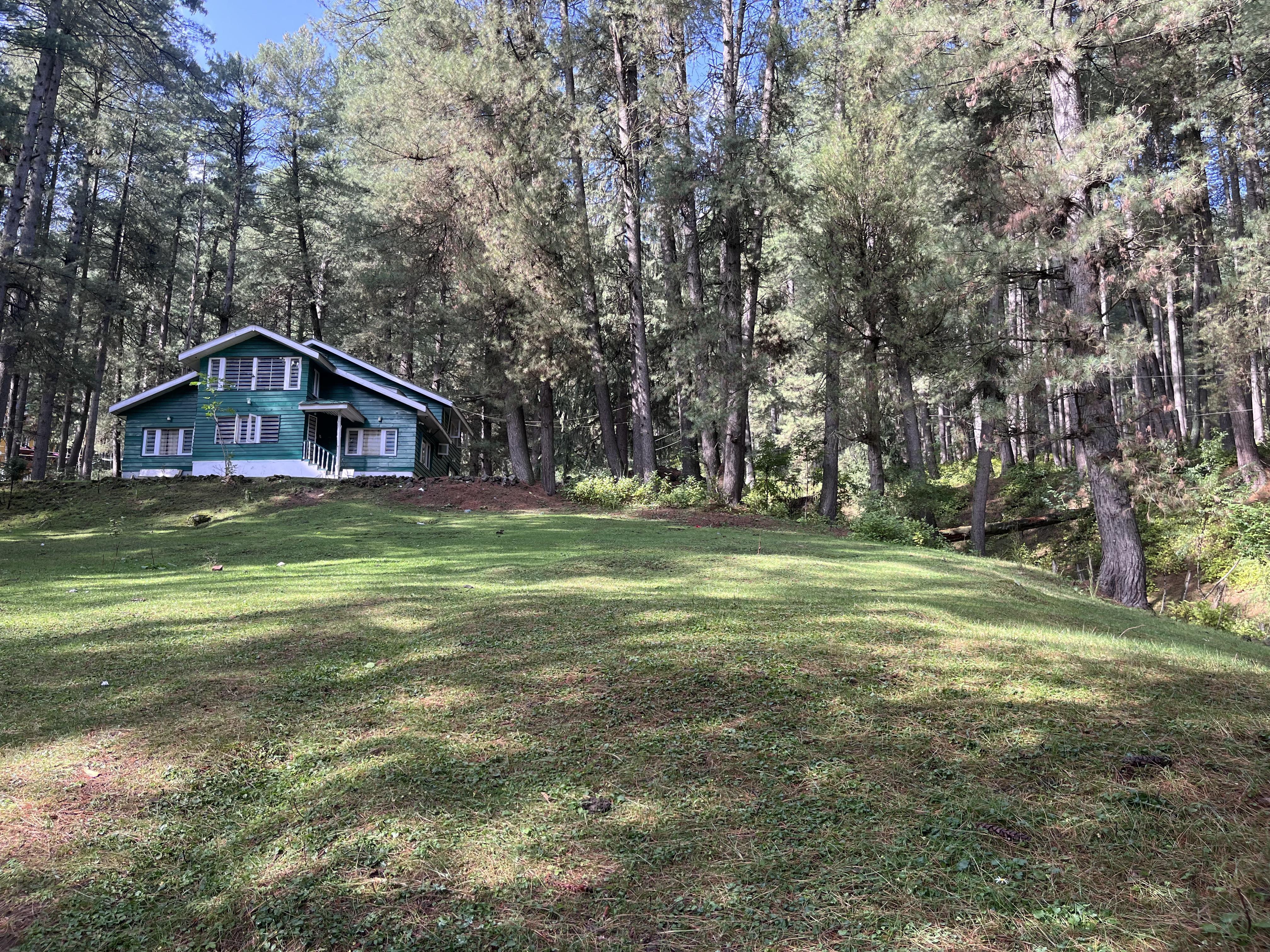 Forest Villa - Tap to explore photos