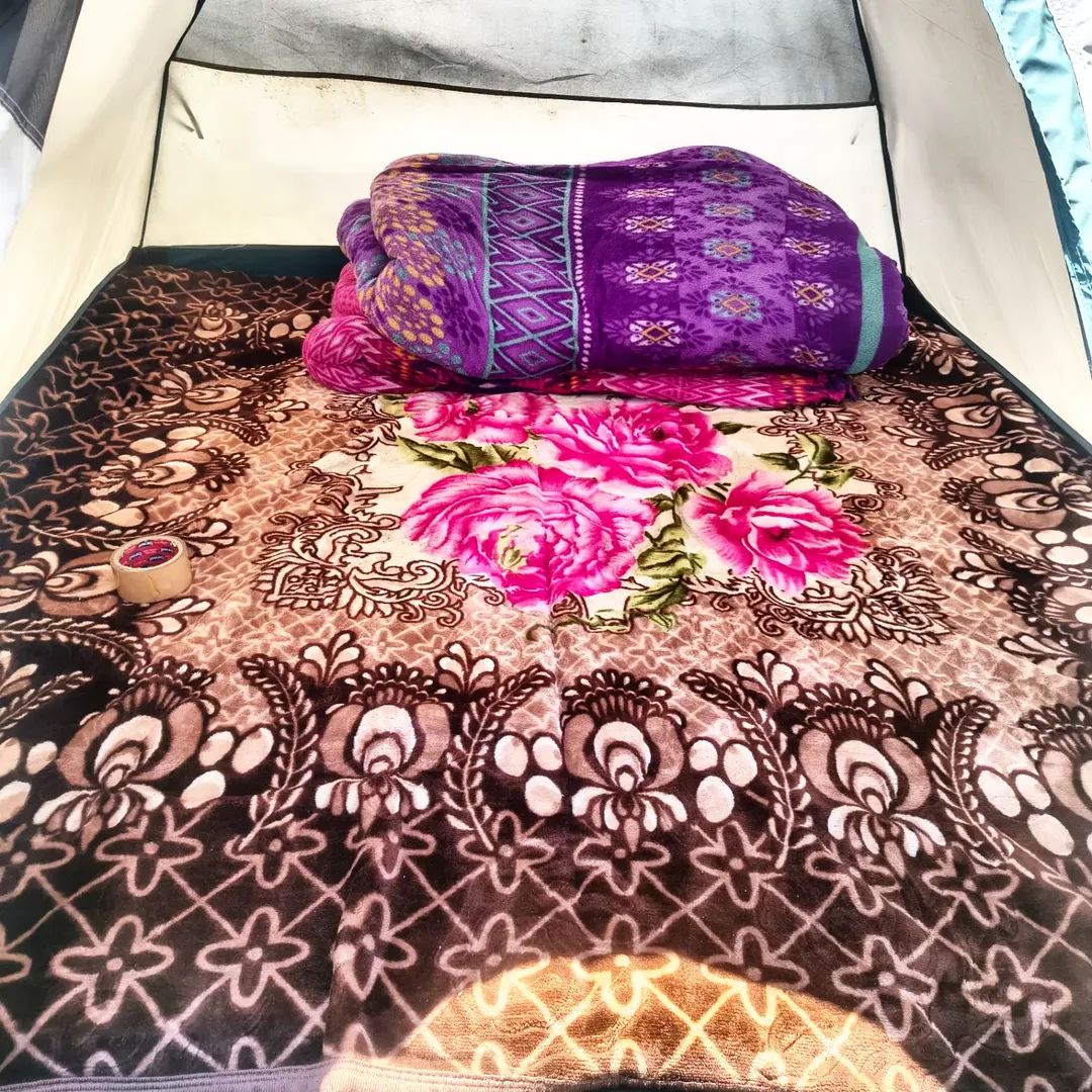 Divya Path Journeys - Tap to explore photos