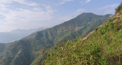 The Royal Tapovan Room Type - The Royal Tapovan