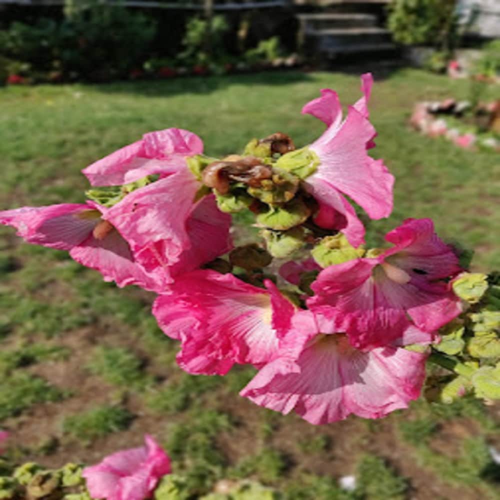 KMVN Jageshwar - Tap to explore photos