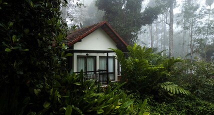 Willow Resorts Room Type - Arabica 2 Bedroom Cottage