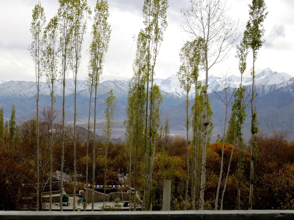 Rahela Guest House - Tap to explore photos