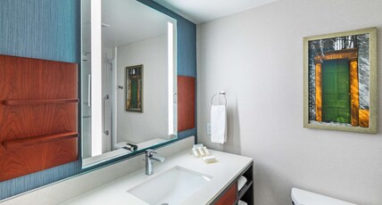 Hilton Garden Inn Houston/Sugar Land Room Type - 1 KING BED