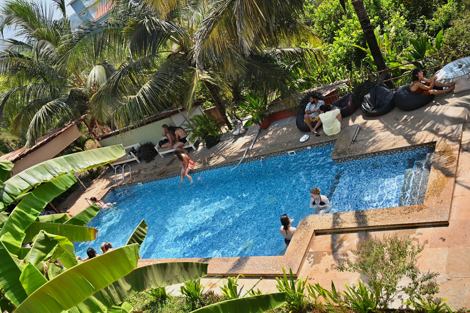 Dragonfly Arambol - Tap to explore photos