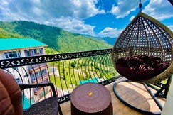 Staynest Royal Ace Mashobra