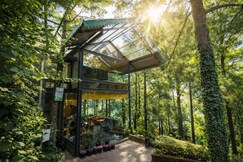 Kasauli Hills Resorts