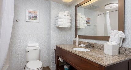Hampton Inn Carrollton Room Type - 1 KING BED NONSMOKING