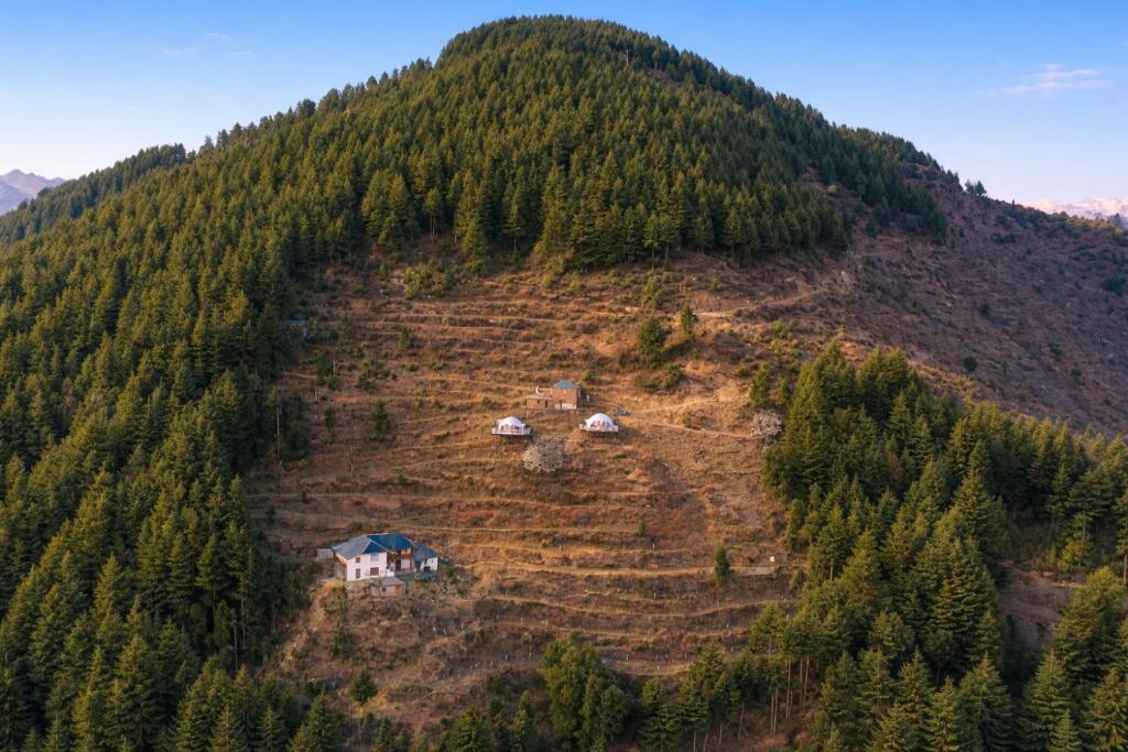 The Talai dome stay - Tap to explore photos