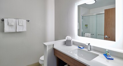 Holiday Inn Express and Suites El Paso East Room Type - 1 King Suite Walk In Shower