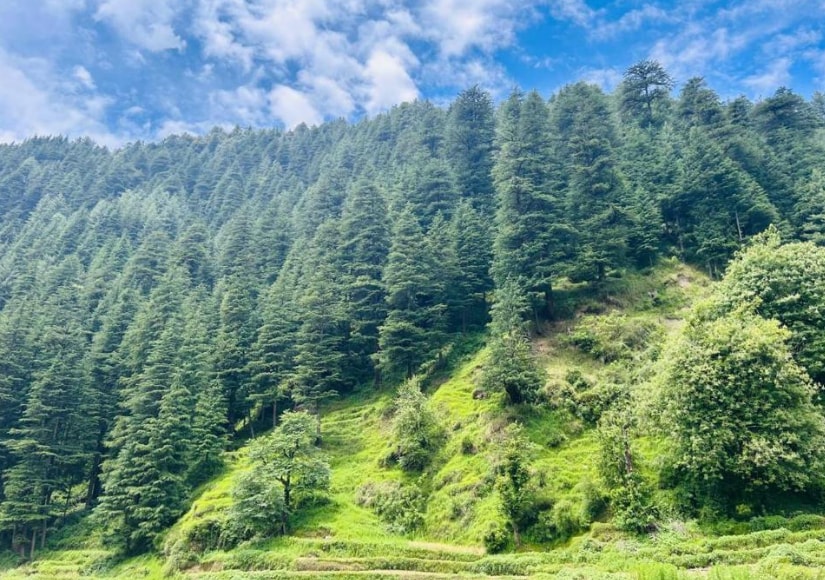 Barot Palace - Tap to explore photos