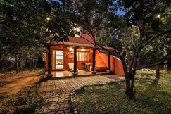 Prakruti Farms l Hornbill