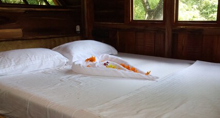 Heaven In Woods Room Type - 1 BHK AC