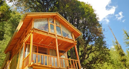 WOW Duplex Treehouse Room Type - WOW Duplex Treehouse