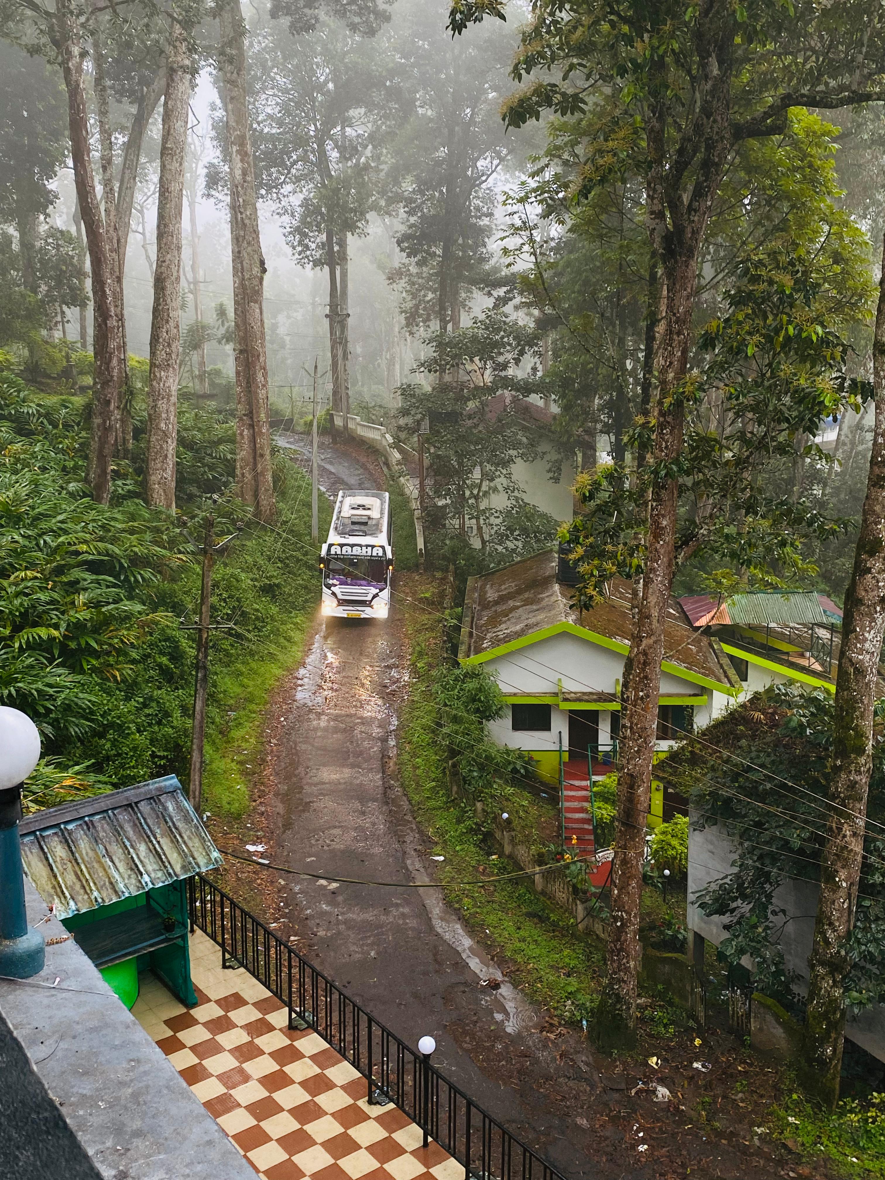 The Heaven of Munnar - Tap to explore photos