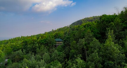 The Hive Wayanad Room Type - Woods Cottage with Balcony