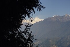 Address of Rare Himalayas De Regency