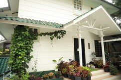 Ameliore Horizon Luxe