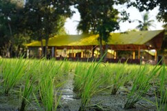 Wander lust hampi, Hampi