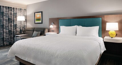 Hampton Inn Champaign Southwest IL Room Type - KING W SOFA FRIDGE MICROWA
