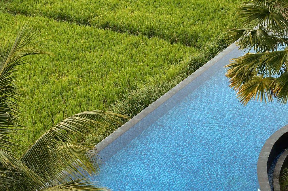 Plataran Ubud Hotel & Spa - Tap to explore photos