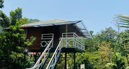 Peacock Ranipuram Resort Room Type - Executive Tree house