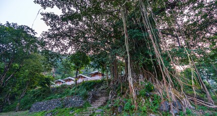 Banyan By The Ganges (74 Kms from Rishikesh) Room Type - River Front Cottage