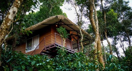 Coffee Cradle Wayanad Premium Tree House Room Type - Coffee Cradle Wayanad Premium Tree House