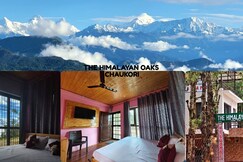 The Himalayan Oaks near Hanging rock road